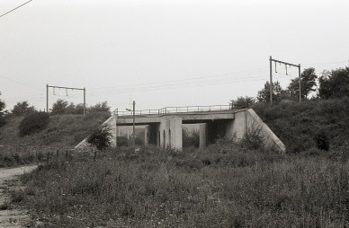 Glons - MZ-647-20671.jpg